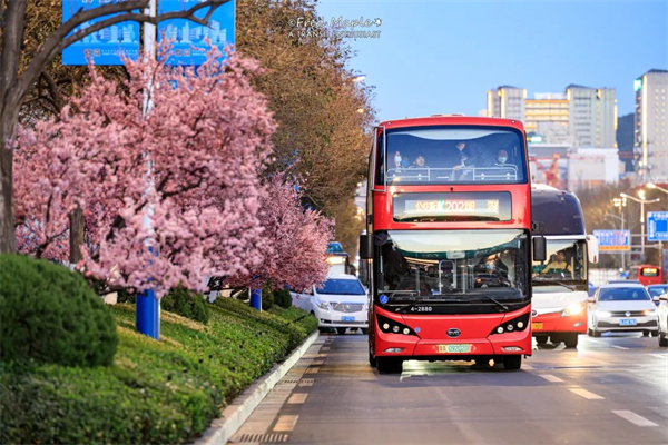 济南打造公交“样板间”，擦亮城市“流动名片”