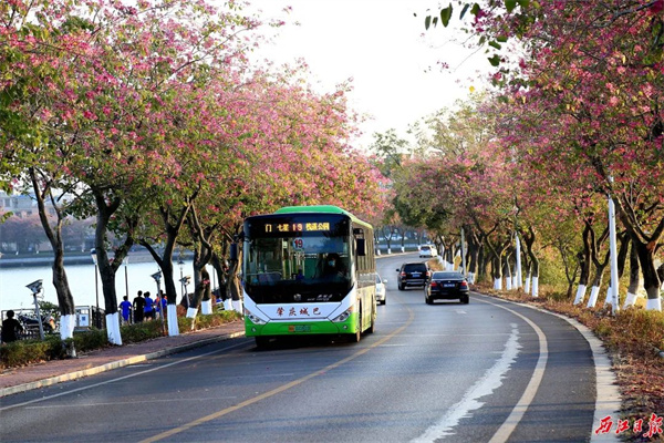 让出行更美好！肇庆“绿色公交”助力实现“双碳”目标