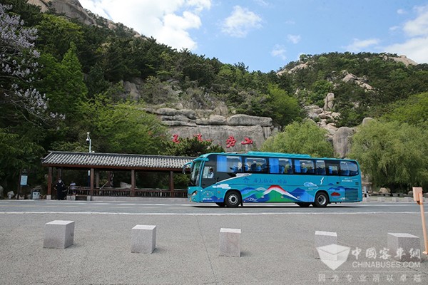 苏州金龙 海格客车青岛崂山 中国旅行社总社