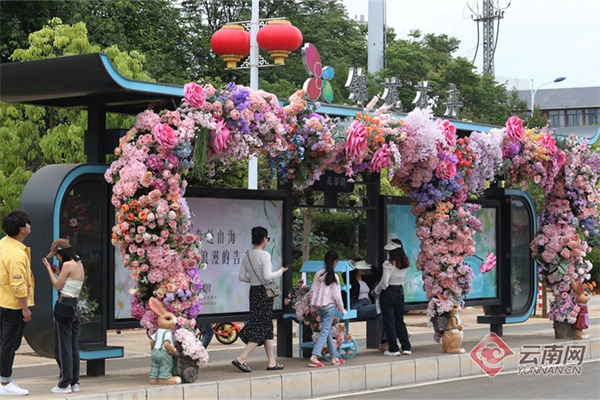 昆明斗南鲜花公交站：在昆明等公交都是浪漫的样子