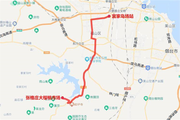 夏日果缤纷！烟台公交集团开通“采摘樱桃”定制公交
