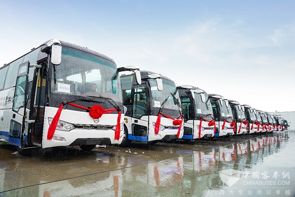 金旅客车 金旅锦程 云南蒲公英 厦门接车