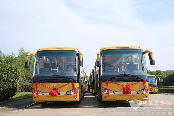 苏州金龙 海格客车 湖南中腾 批量交付