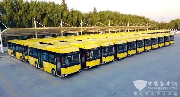 绍兴公交 交通运输部 我的公交 我的城 主题宣传活动