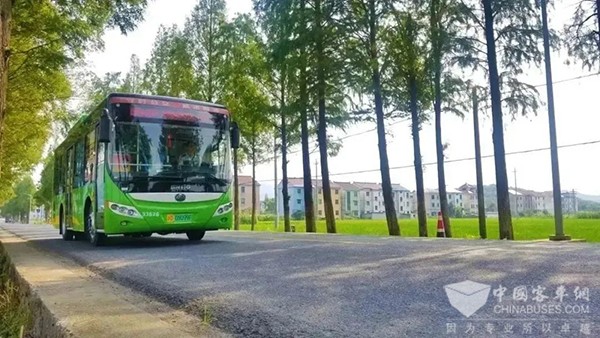 绍兴公交 交通运输部 我的公交 我的城 主题宣传活动