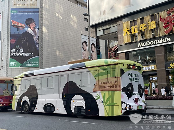 成都公交 杭州公交 熊猫巴士 公交主题车