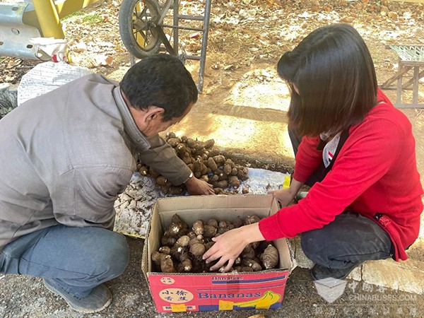 交运温馨巴士 驾驶员 农作物收获 搬运工
