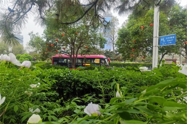 洛阳牡丹文化节 格力钛携这些车型带你赏花