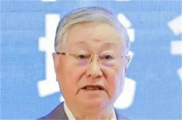 提升城市公共交通整体效能 汪光焘指出这些问题