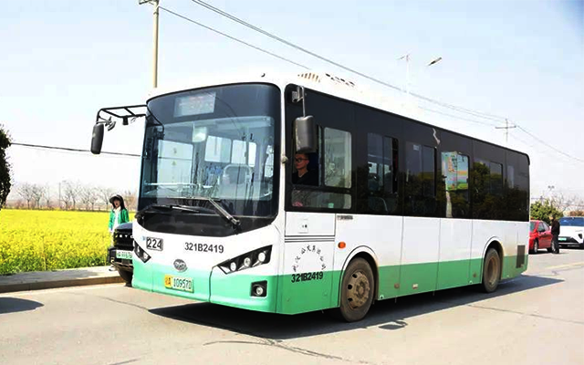 武汉公交赏花地图曝光 打卡江城春日限定浪漫