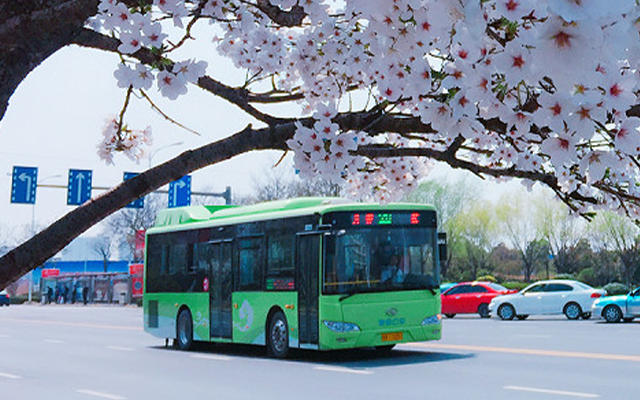 搭乘淮安公交奔赴春日浪漫 畅享幸福出行