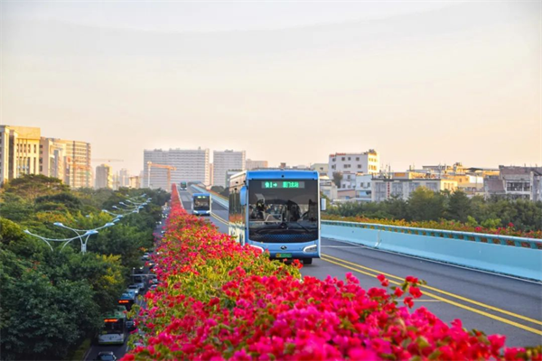 五一来厦怎么玩？来看金龙公交车新玩法花式霸屏！