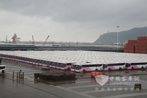 在港口等待装船的安凯客车