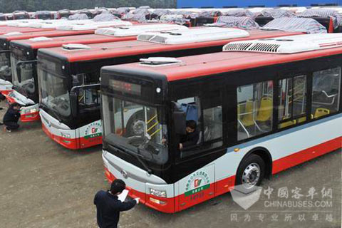 排放整齐的LNG公交车