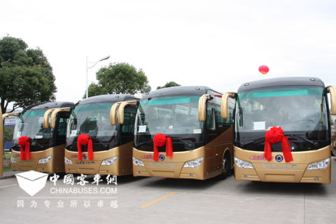 42辆申龙机场巴士整装待发