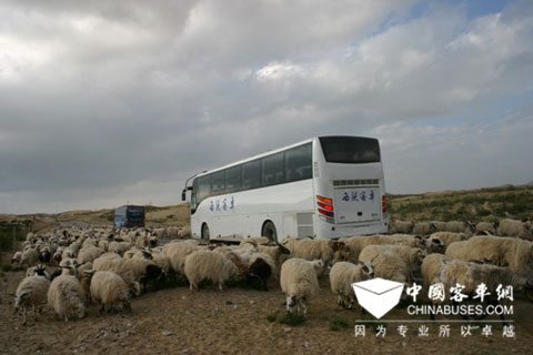 西沃客车在青海湖边