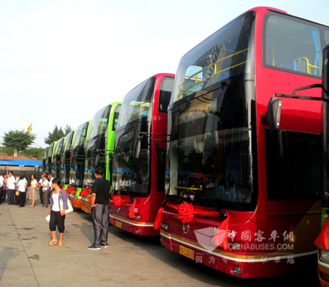 100辆金旅双层空调巴士身披红花，整装待发