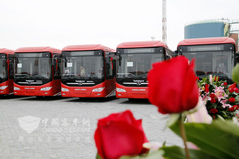 大金龙18米BRT--来自东方的红玫瑰