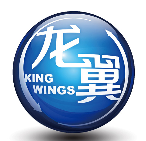 龙翼LOGO