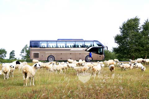 凯歌平台所出XML6122