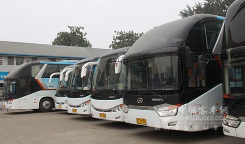 枣庄旅游客运车辆九成以上为大金龙