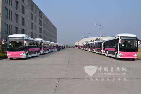 “萌物”来袭 黄海超级巴士引关注