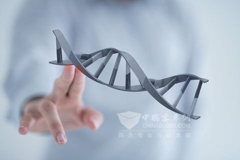 解密金旅智能技术的绝妙DNA