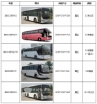 天然气价格并轨将利好燃气客车发展 