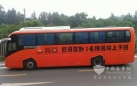 南京金龙纯电动大巴助力“巴哥驾到”