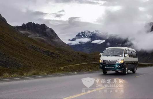 出口玻利维亚的金龙金威