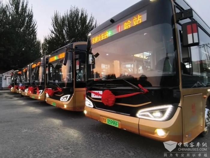 冬季出行更便捷 哈尔滨公交升级暖民心