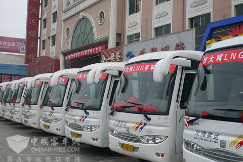莱州首批入使用的液化天然气城乡客车