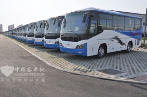 咸运安达运输总经理曾兰：起跑线取胜