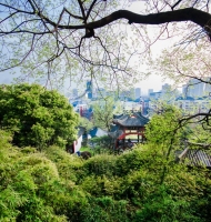 武汉等地定制公交取代楼巴尚需时日