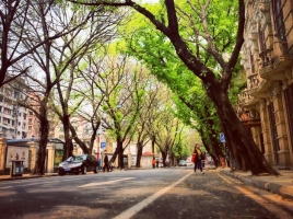 环境问题导致新能源客车迎来第二春