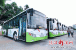 首批15辆纯电动公交车抵达湛江