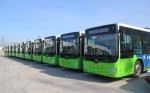 青奥新契机 南京增2530辆新能源公交