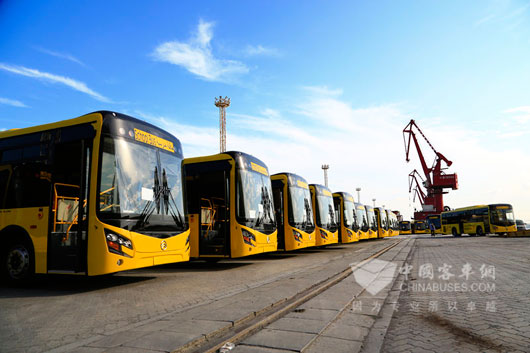 200多台崭新的金旅校车即将发往沙特