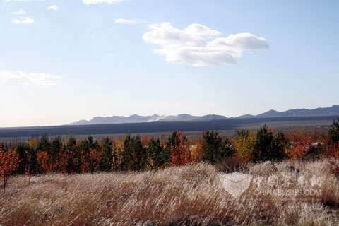 塞上江南名不虚传