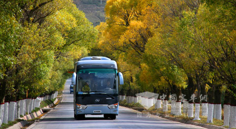 龙威客车走在风景如画的林荫道上
