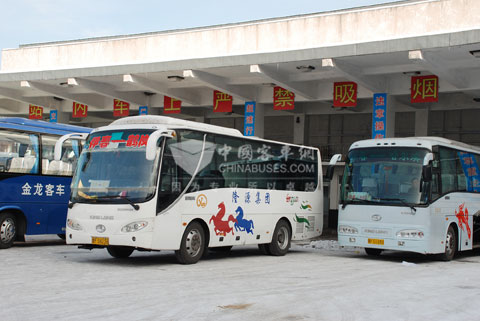 在伊春客运市场，许多车主都选择用大金龙的车