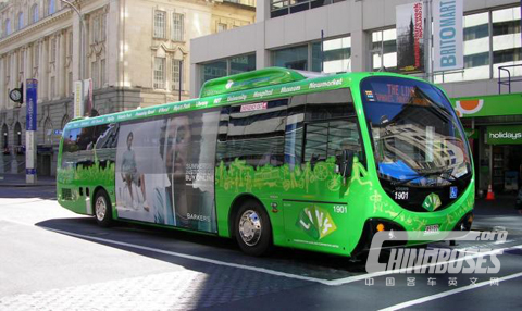 DesignLine 纯电动客车