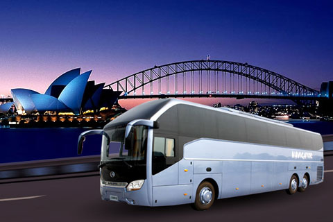 申龙客车SLK6142F2A3