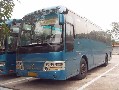 3台金旅客车，2台03年12月41座，1台03年4月，47座
