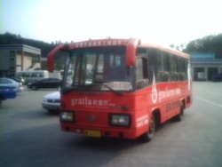 01年旅游转非金龙25座