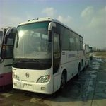 三台金龙客车，28、31、37座。