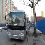 卖二手各款金龙客车
