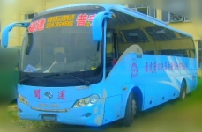 厦门大金龙