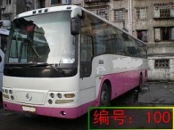 出售04年53座金旅客车，车况好，配置佳。