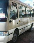考斯特、厦门金旅